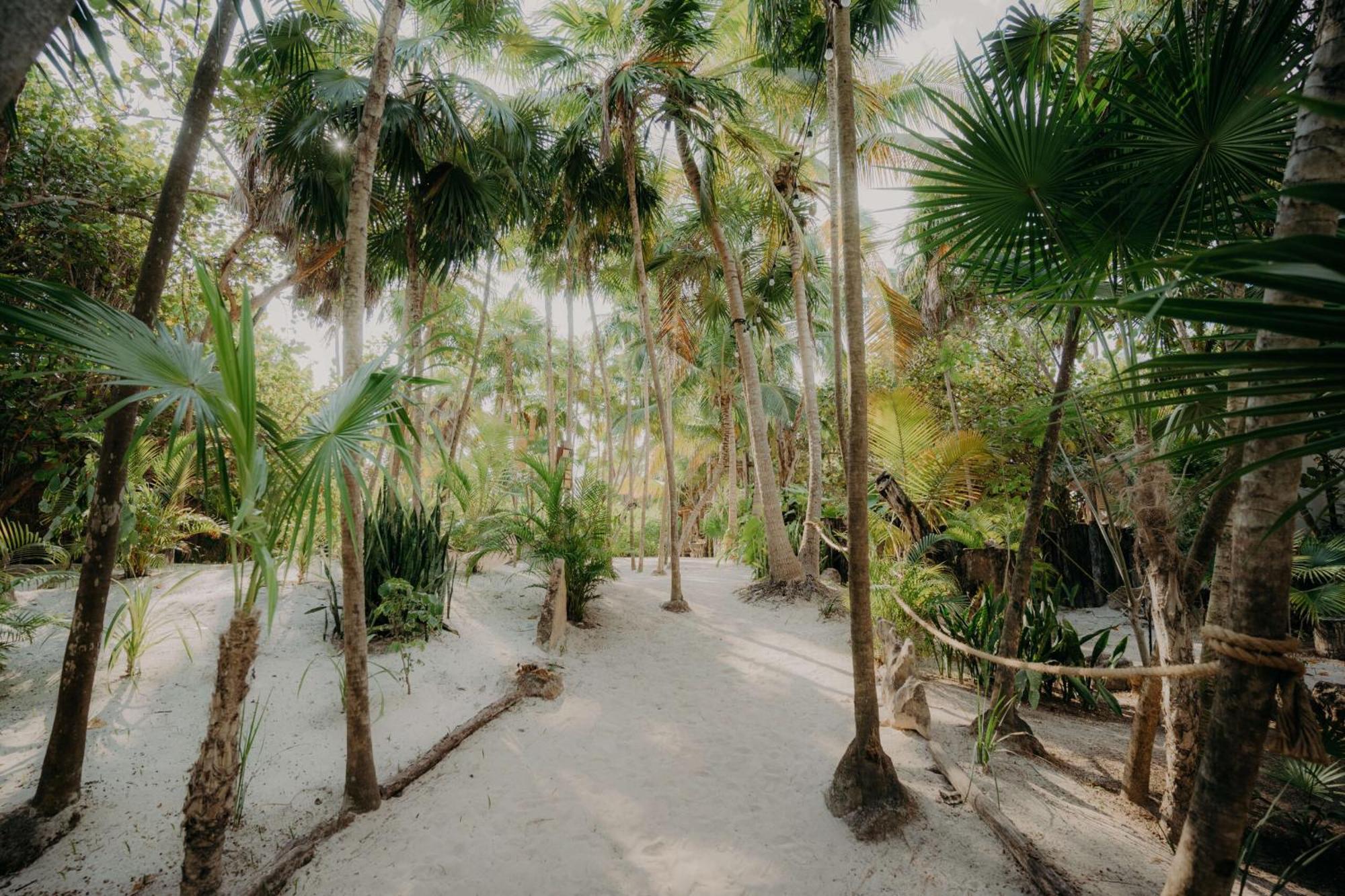 Luxury Penthouse With Private Pool In Aldea Zama Apartment Tulum Bagian luar foto